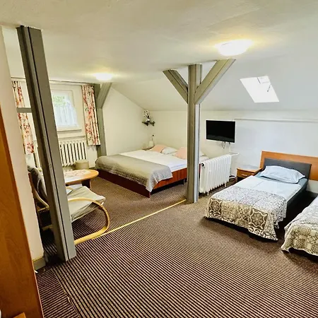 Bed & Breakfast Bogdanowka - Twoj Dom W Karkonoszach Blisko Szlakow I Wyciagu *